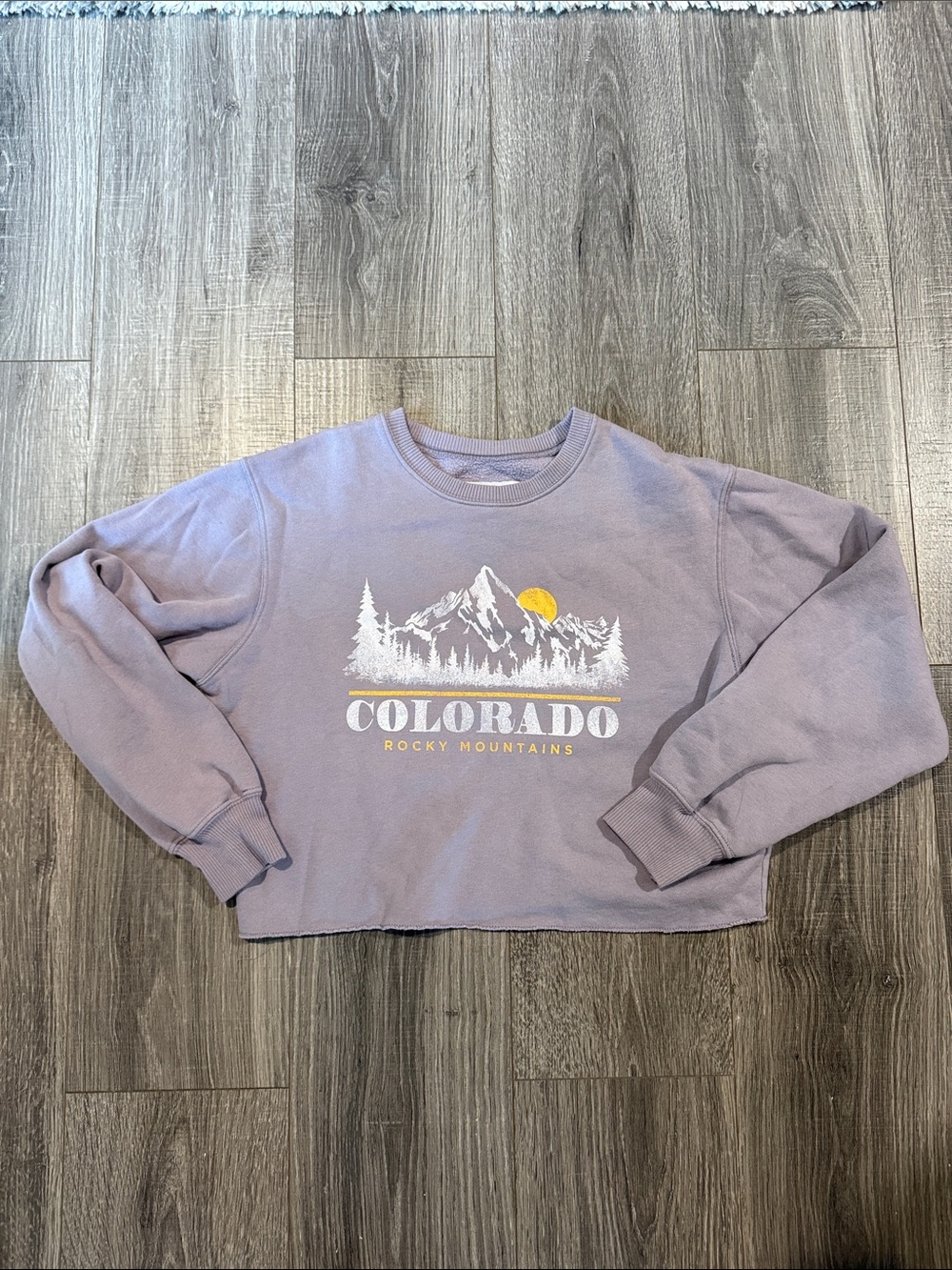 Hollister Lavender Colorado Graphic Crewneck Sweatshirt Size XS